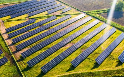 Jak przebiega montaż konstrukcji pod farmy fotowoltaiczne?