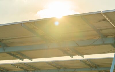 Kafarowanie – kluczowy proces w budowie farm fotowoltaicznych