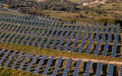 Jak działa budowa farmy fotowoltaicznej – krok po kroku?