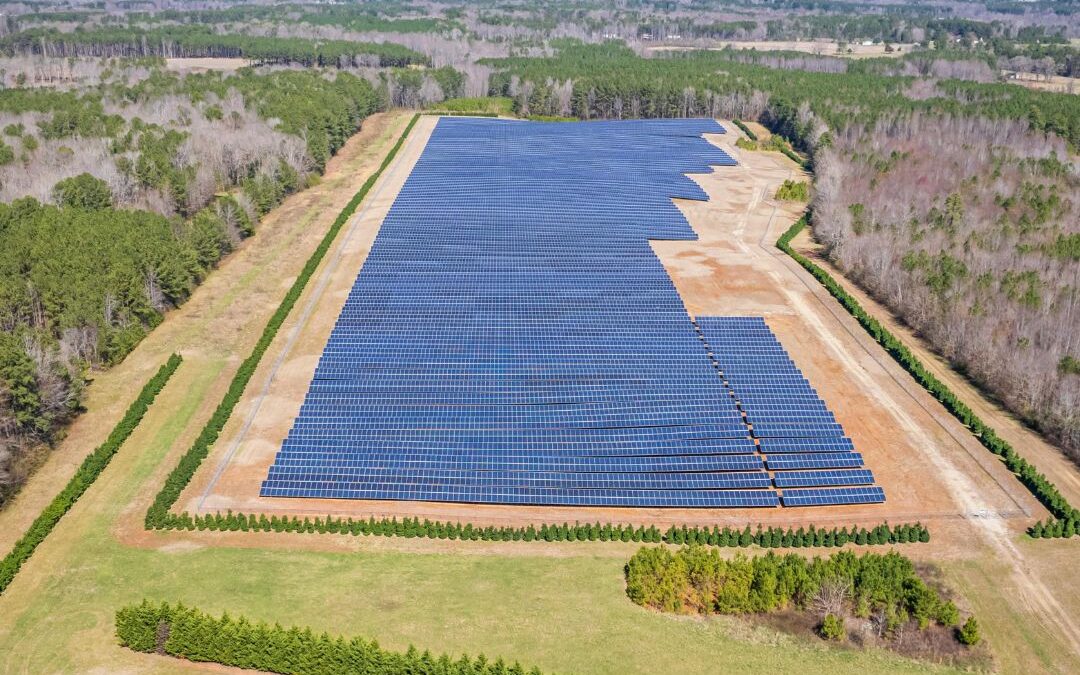 Koszty budowy farmy fotowoltaicznej – na co się przygotować?